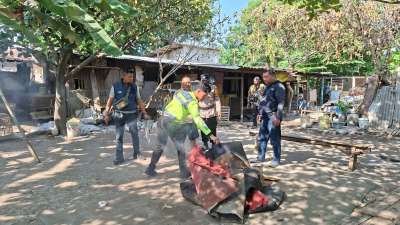 Polsek Waru Bongkar Arena Sabung Ayam di Bungurasih Utara